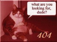 404